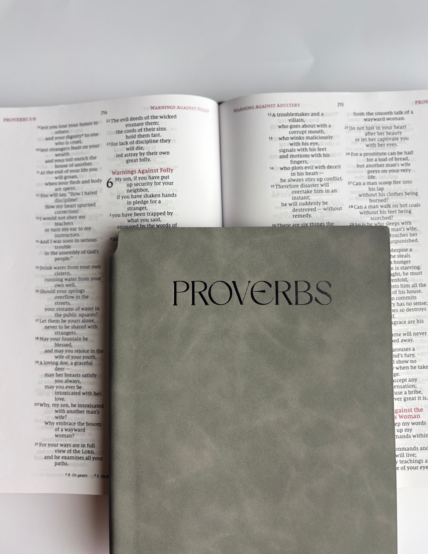 Proverbs - Bible Study Journal