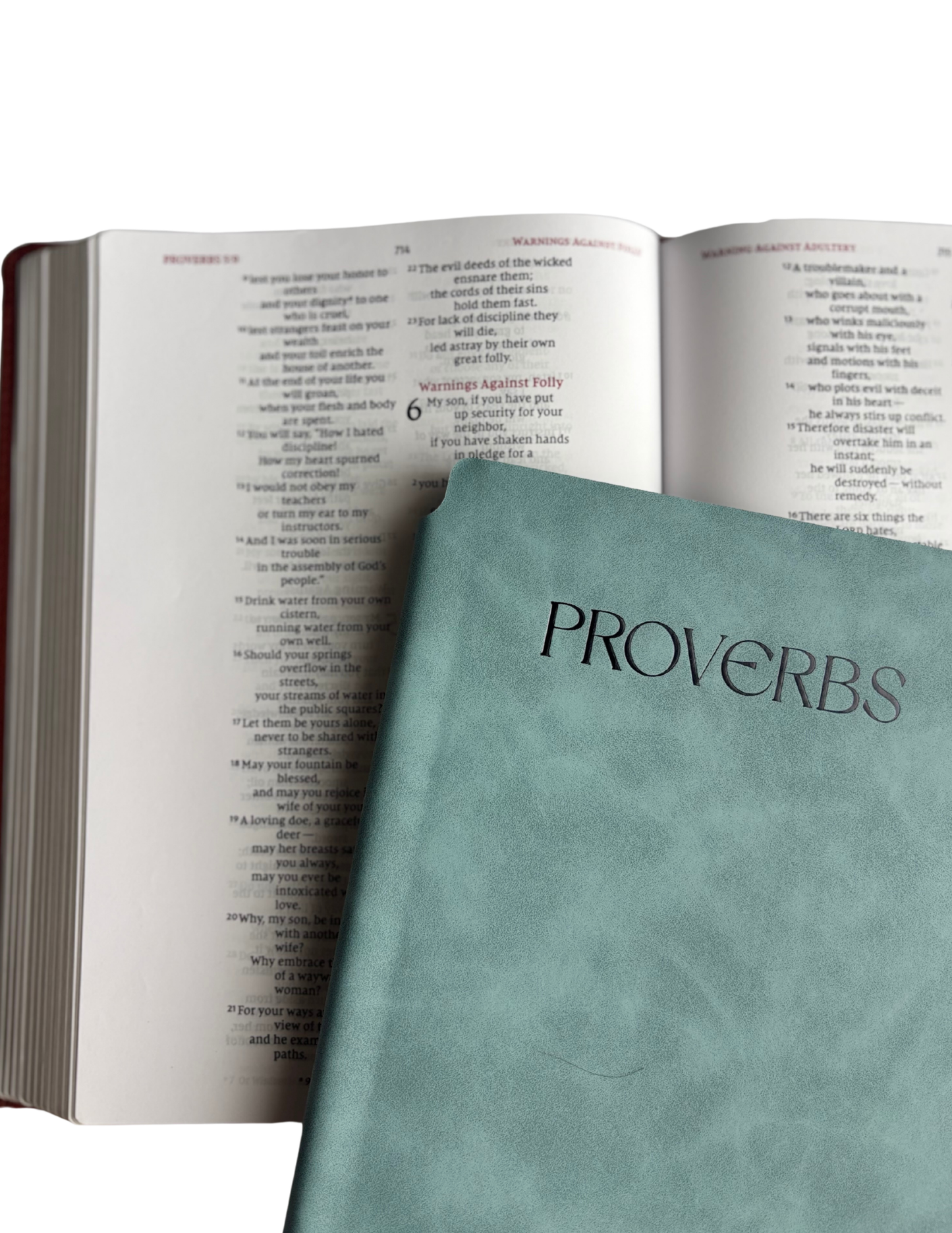 Proverbs - Bible Study Journal
