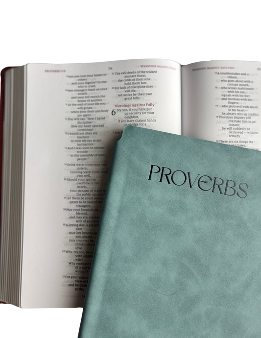 Proverbs - Bible Study Journal