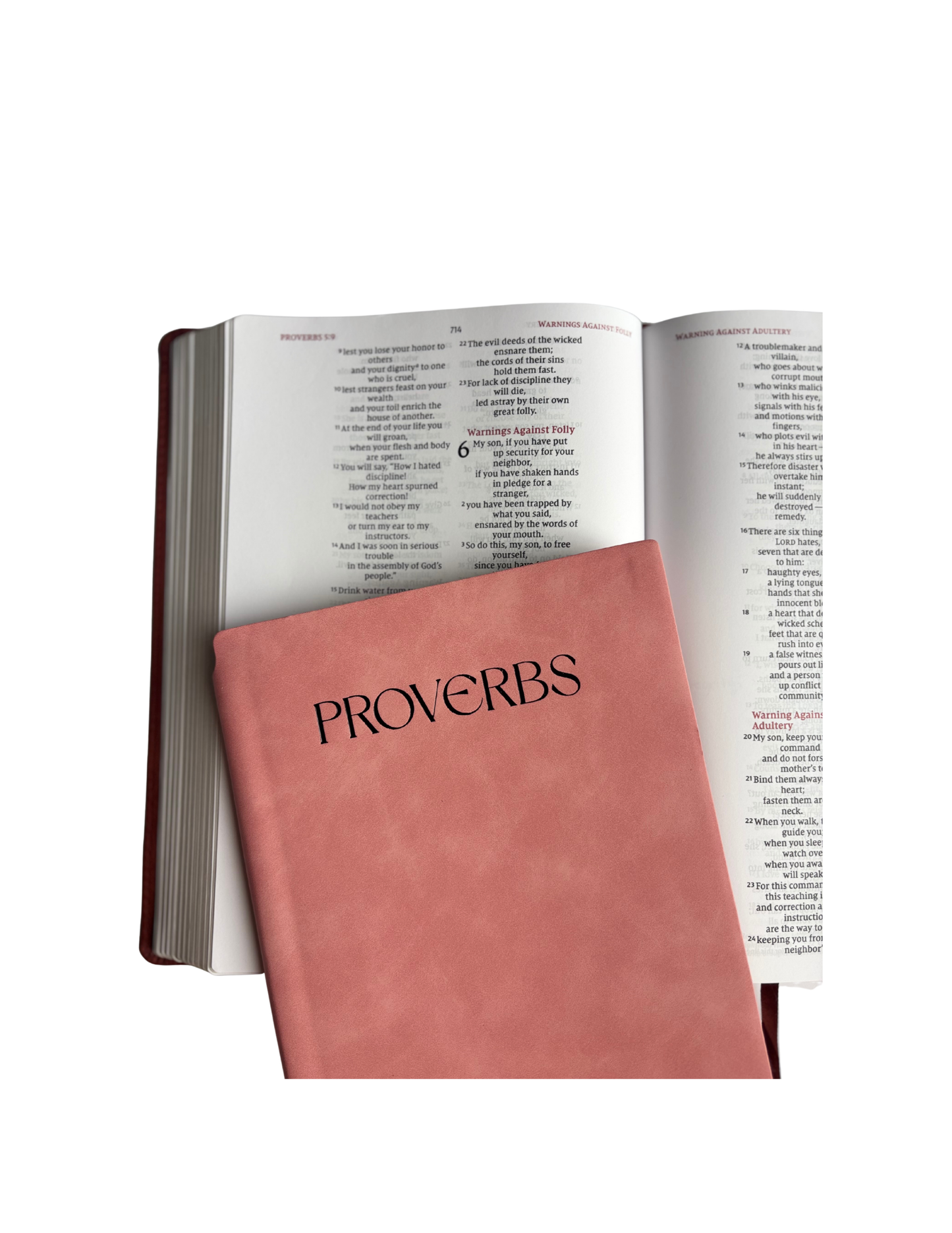 Proverbs - Bible Study Journal