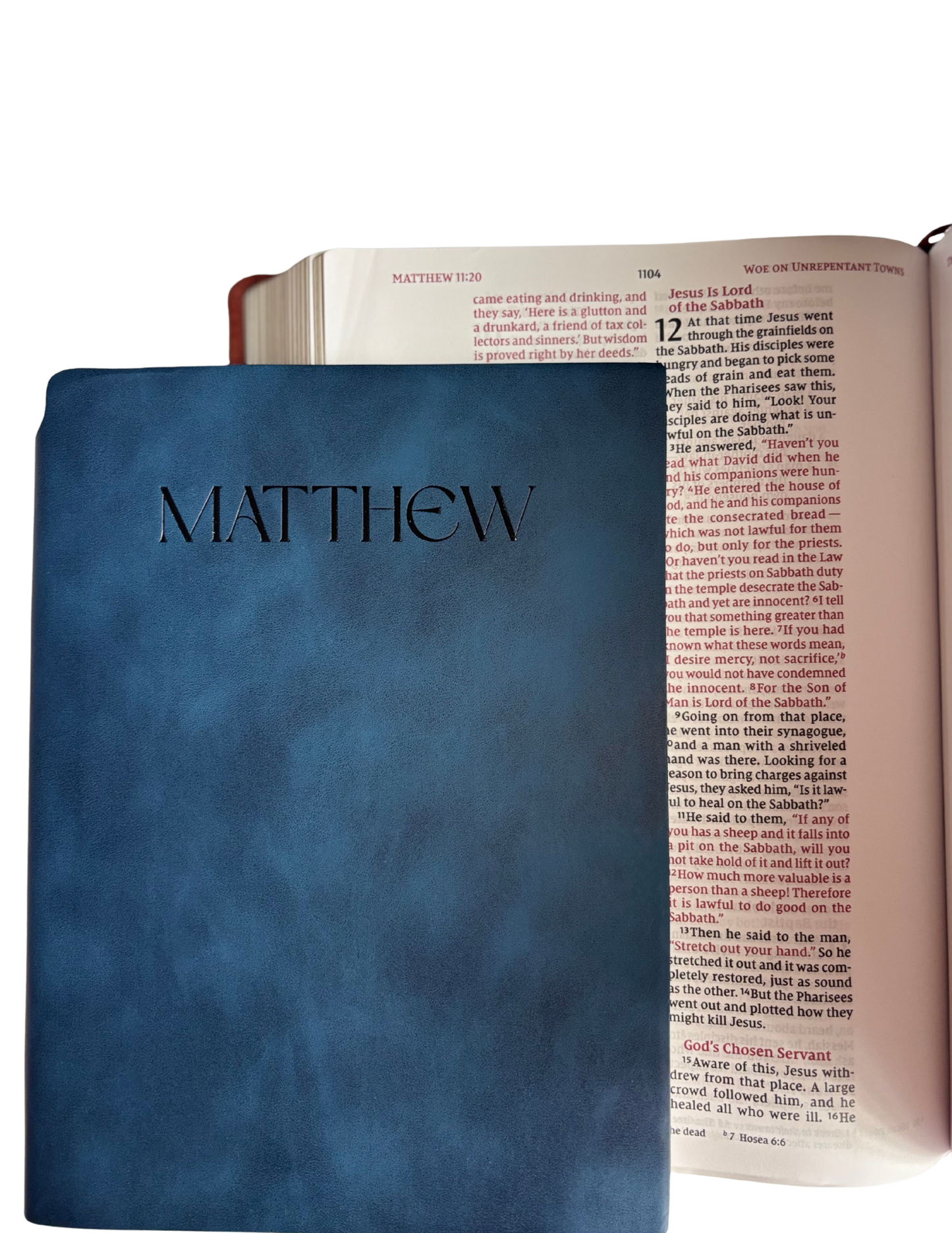Matthew - Bible Study Journal
