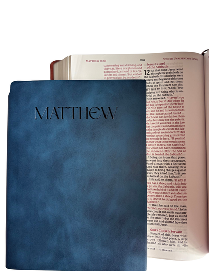 Matthew - Bible Study Journal