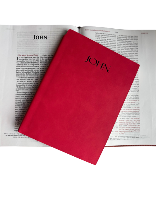 John - Bible Study Journal