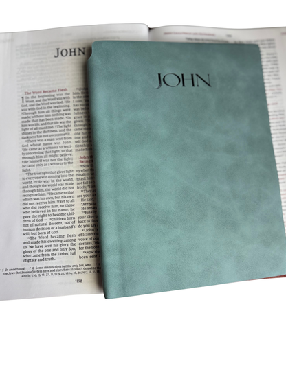 John - Bible Study Journal
