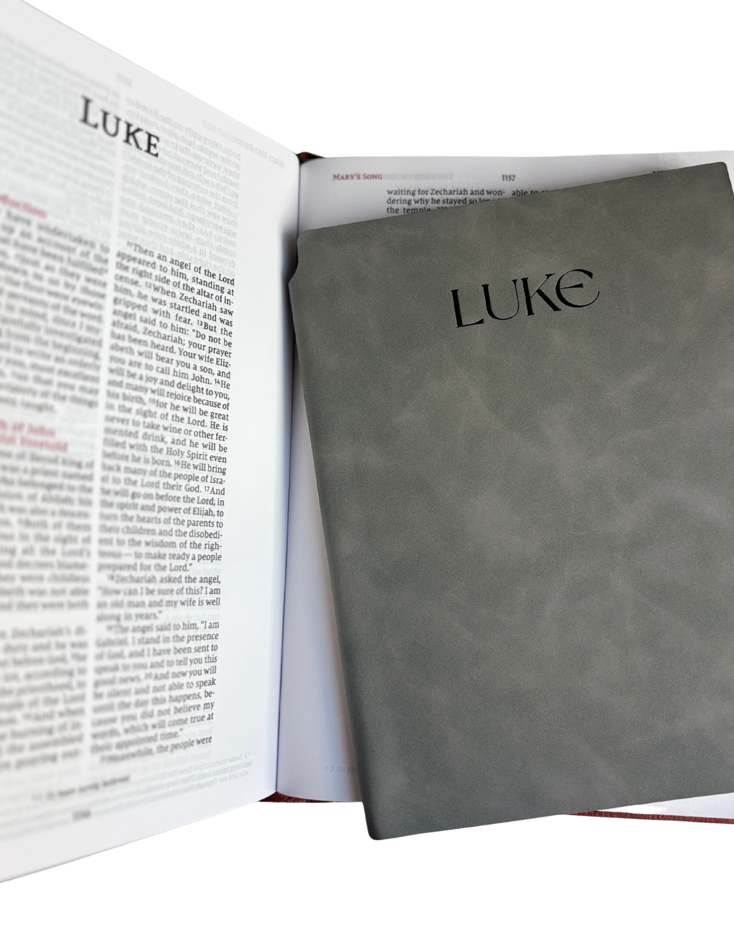 Luke - Bible Study Journal