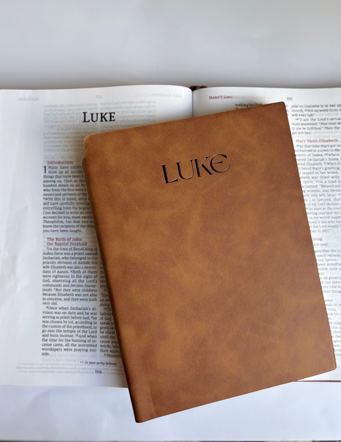 Luke - Bible Study Journal