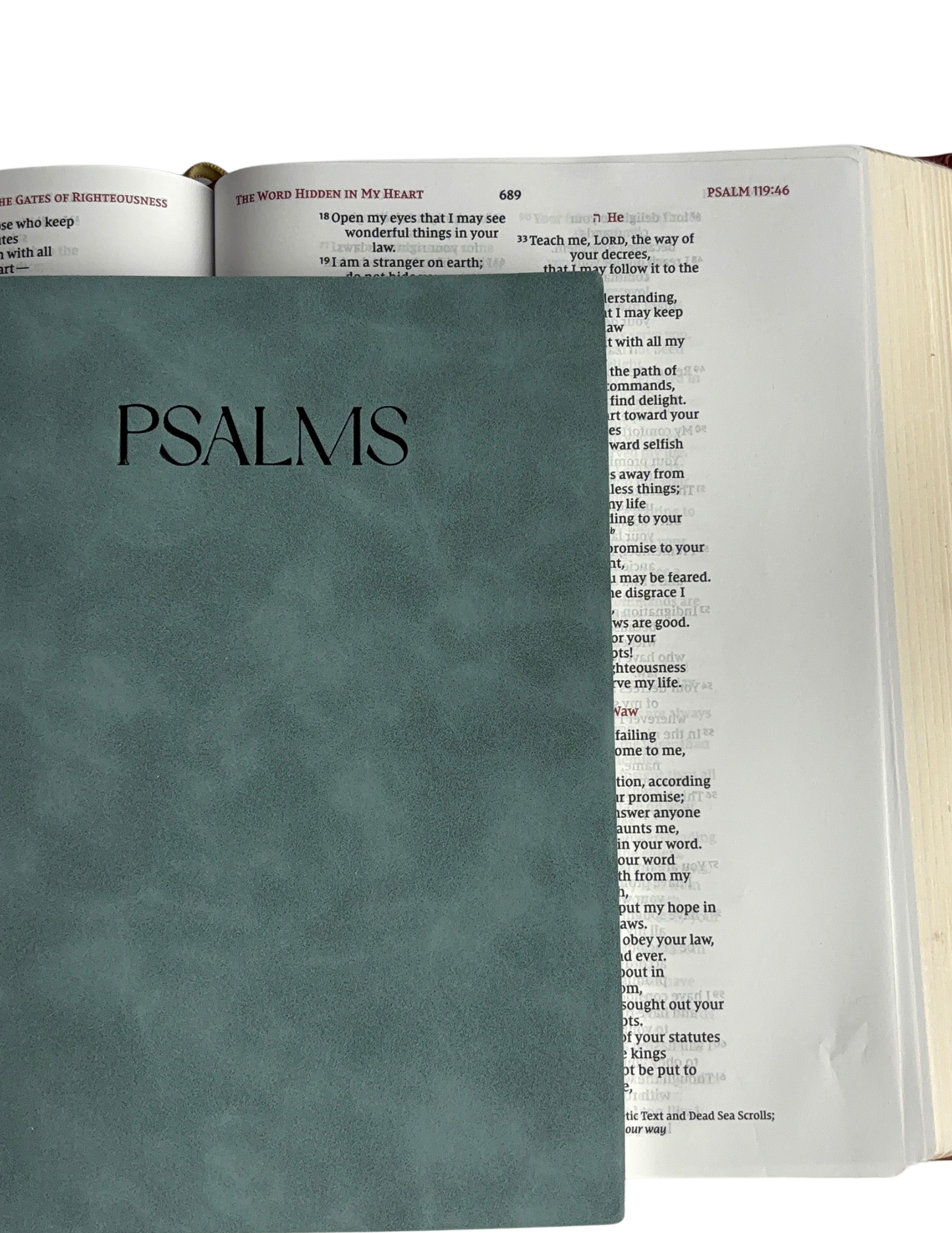 Psalms - Bible Study Journal