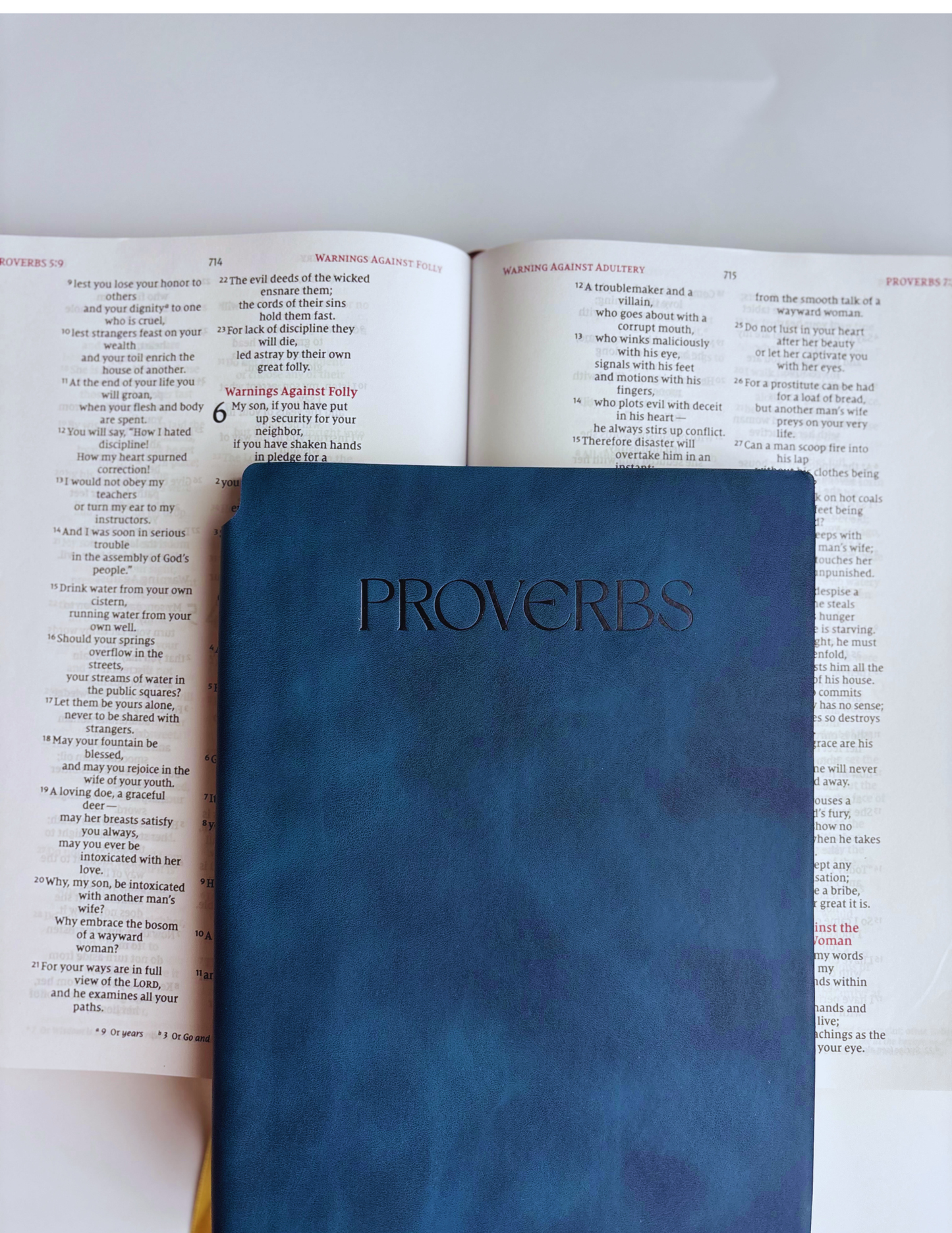 Proverbs - Bible Study Journal