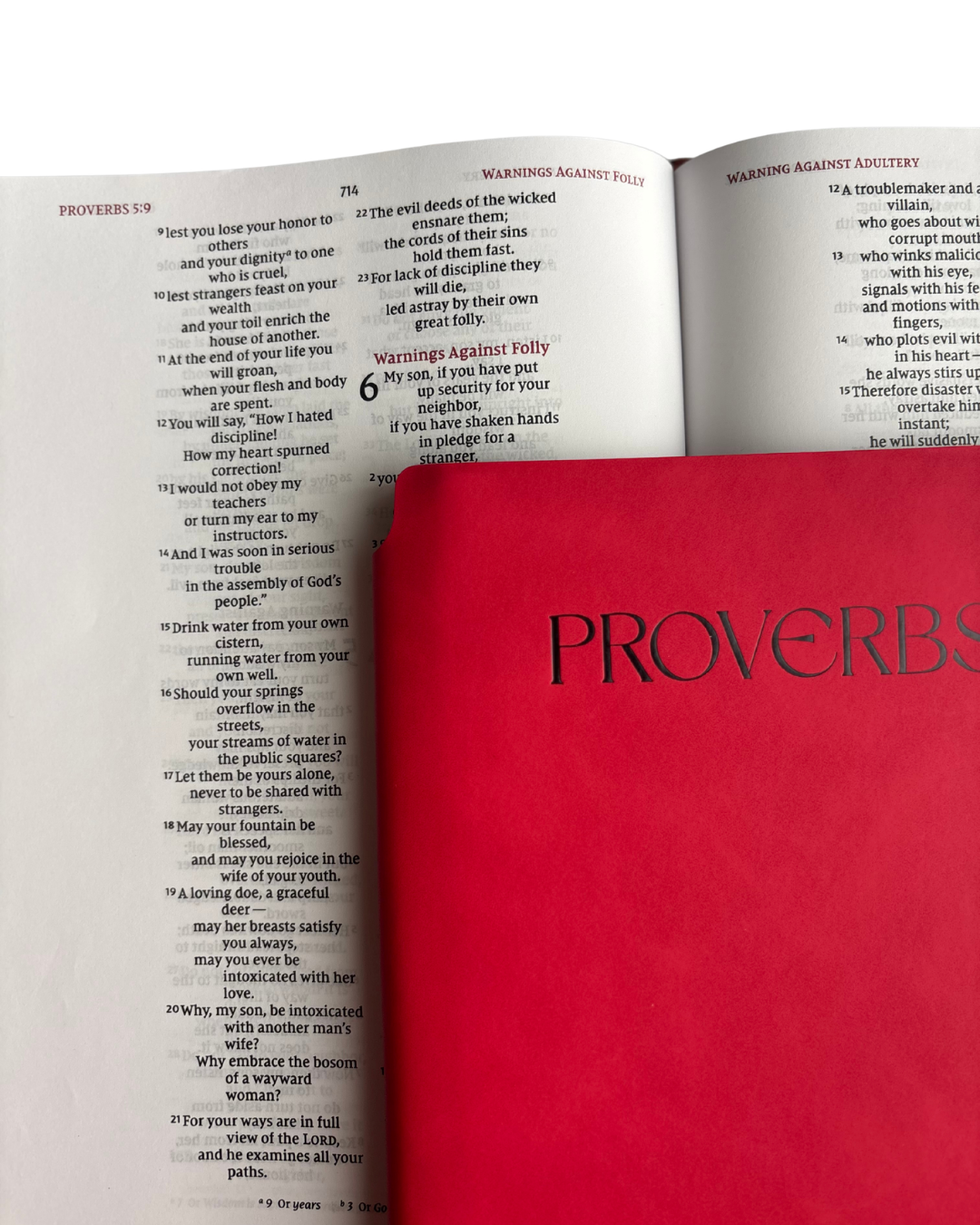 Proverbs - Bible Study Journal
